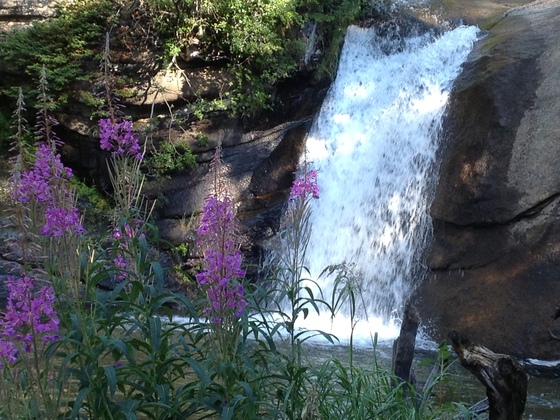 Rocky Mountain National Park