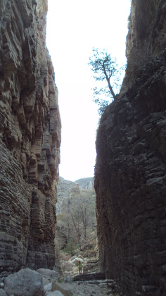 Guadalupe Mountains National Park
