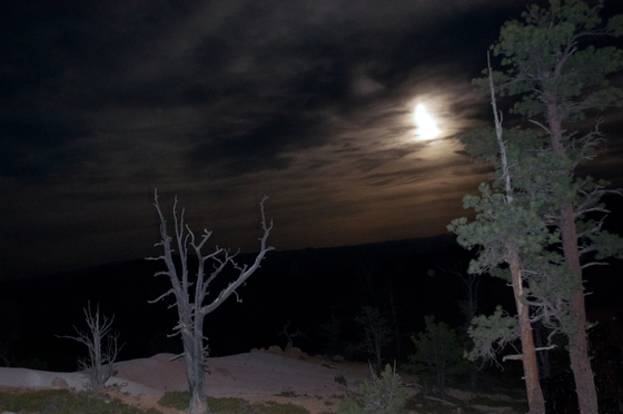 Bryce Canyon National Park