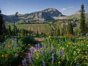 Grand Teton National Park