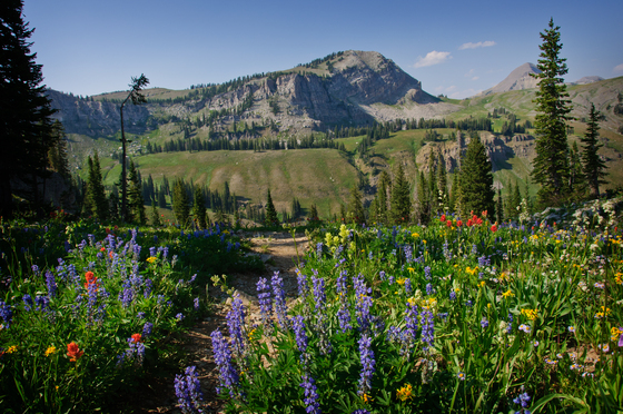 Grand Teton National Park