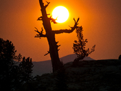 Jedediah Smith Wilderness