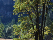 Yosemite National Park