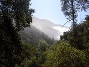Los Angeles National Forest