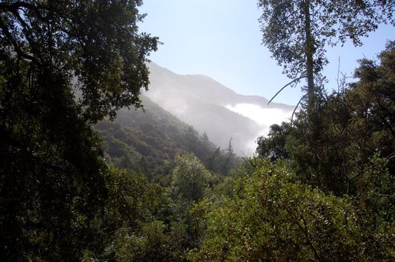 Los Angeles National Forest