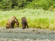 Katmai National Park