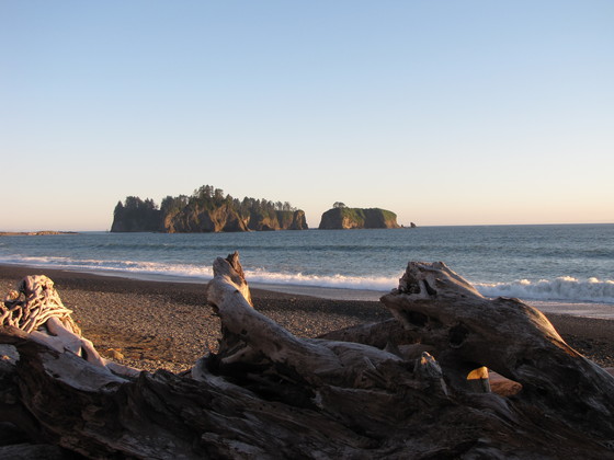 Olympic National Park