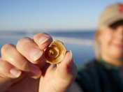 Canaveral National Seashore