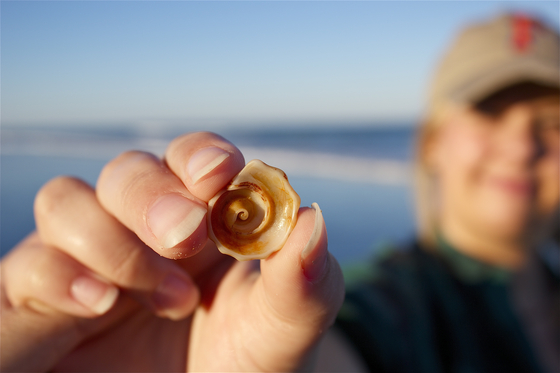 Canaveral National Seashore