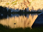 Sequoia National Park