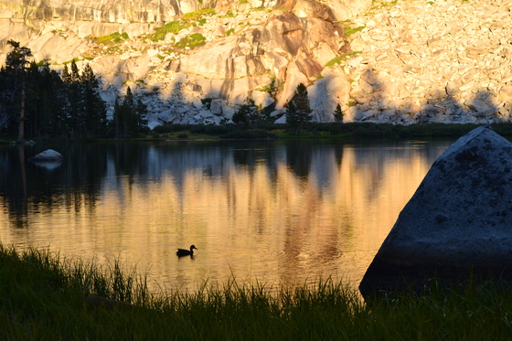 Sequoia National Park