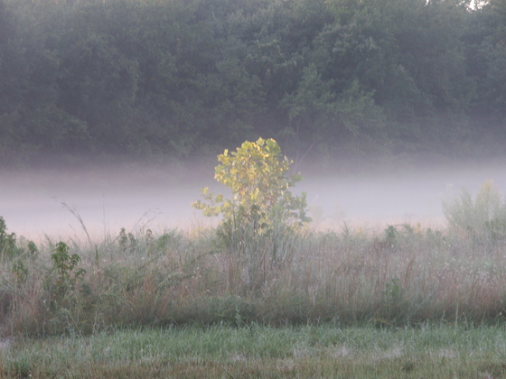 Patuxent Wildlife Research Refuge