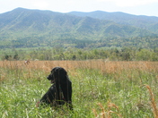 Cades Cove, Smoky Mountains National Park
