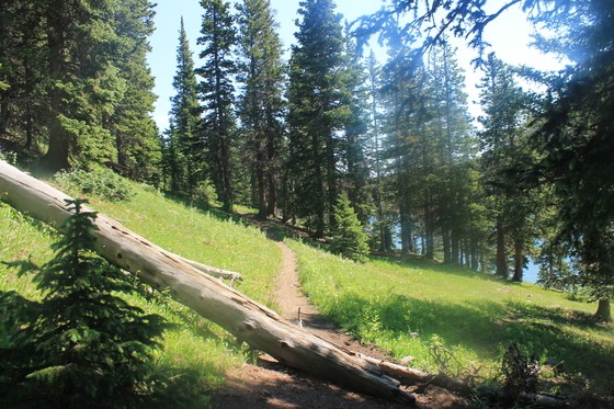 Sangre de Cristo Wilderness