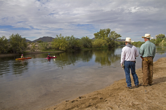 Tonto National Forest