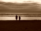 Kalaloch WA