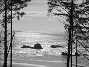 Kalaloch WA