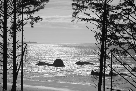 Kalaloch WA