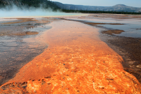 Yellowstone National Park
