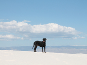 White Sands National Monument