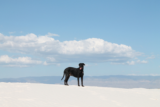 White Sands National Monument