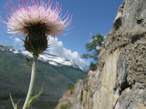 Glacier National Park
