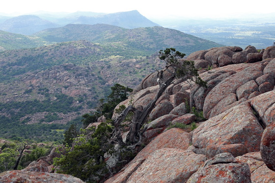 wichita mountains wildlife refuge