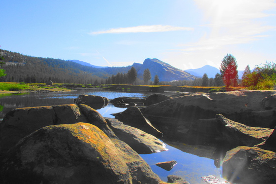 Yosemite National Park