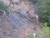Zion National Park