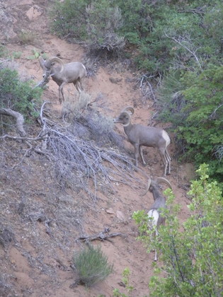 Zion National Park