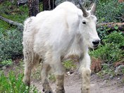 Rocky Mountain National Park