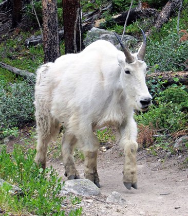 Rocky Mountain National Park