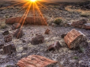 Sunset in the Petrified Forest