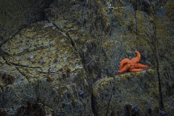 Kenai Fjords National Park, Alaska