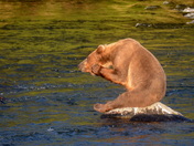 Katmai National Park 
