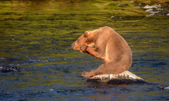 Katmai National Park 