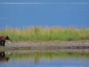 Katmai National Park 