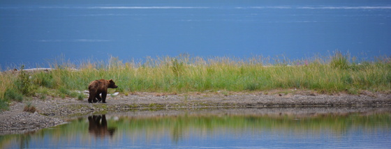 Katmai National Park 