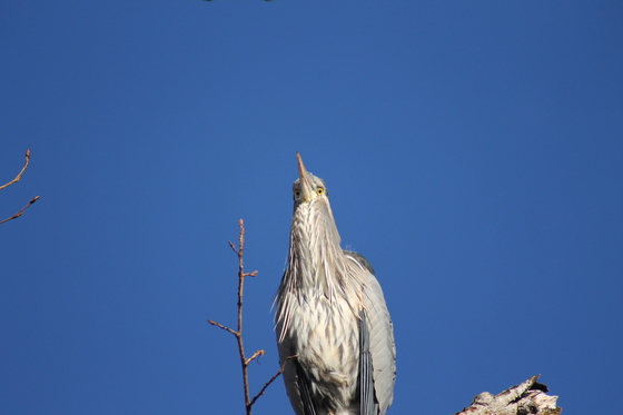 Lee Metcalf National Wildlife Refuge
