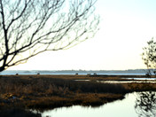 Assateague National Seashore