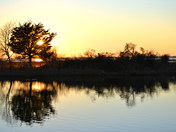 Assateague National Seashore