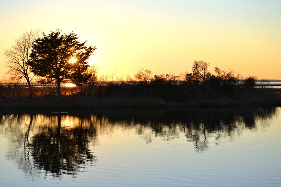 Assateague National Seashore