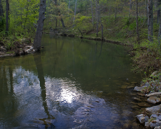 Elizabeth Furnace Recreation Area, George Washington National Forest