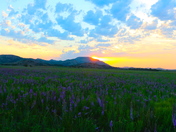 Wichita Mountains Wildlife Refuge
