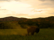 Wichita Mountaians wildlife Refuge