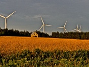 PEI Wind Harvest