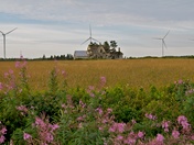 PEI Wind Harvest
