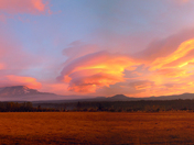 Mt. Adams