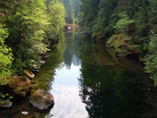 South Umpqua River in Umpqua Natl. Forest