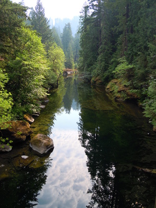 South Umpqua River in Umpqua Natl. Forest